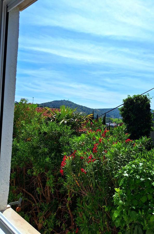 Apartment Ivy Mlini Εξωτερικό φωτογραφία
