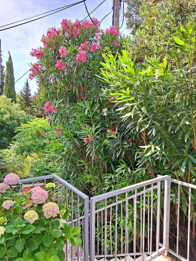 Apartment Ivy Mlini Εξωτερικό φωτογραφία
